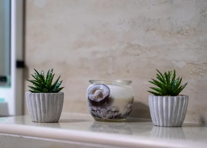 Vip Bojana Apartment